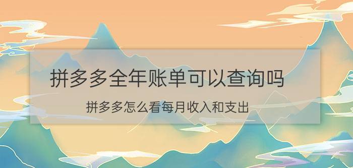 拼多多全年账单可以查询吗 拼多多怎么看每月收入和支出？